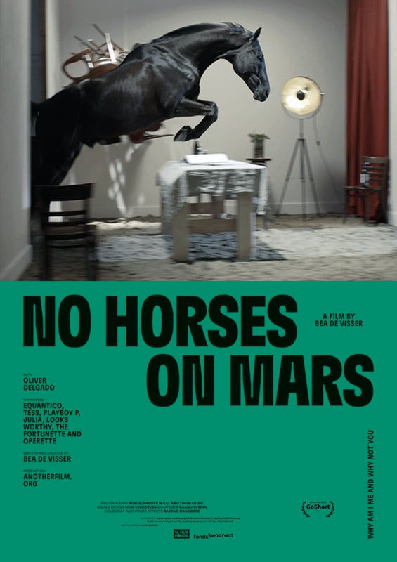 No horses on Mars poster